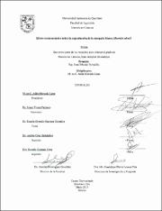 IGMAN-233911.pdf.jpg