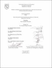 IGMAC-239202.pdf.jpg