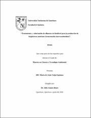 FQMAC-335497.pdf.jpg