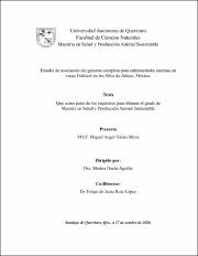 CNMAC-335519.pdf.jpg