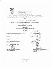 RI000038.pdf.jpg