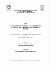 DELIN-262320.pdf.jpg