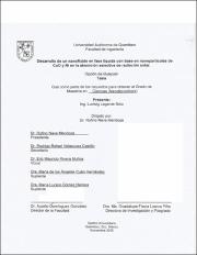 IGMAC-239253.pdf.jpg