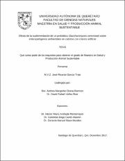CNMAC-214098.pdf.jpg