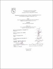 CNMAC-239008.pdf.jpg