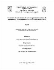 IGMAC-223097.pdf.jpg